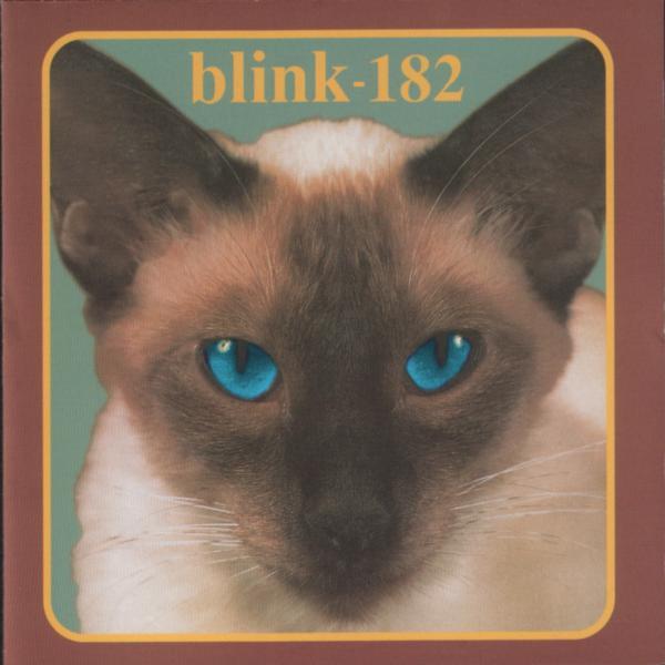 03.11.98